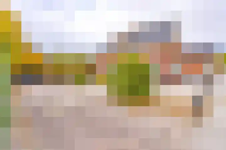 Noordzijde 287 Gasselternijveenschemond thumbnail 11
