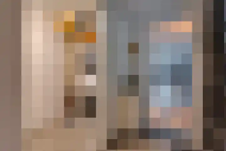 Noordzijde 287 Gasselternijveenschemond thumbnail 31