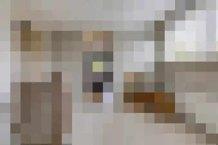 Noordzijde 287 Gasselternijveenschemond thumbnail 35
