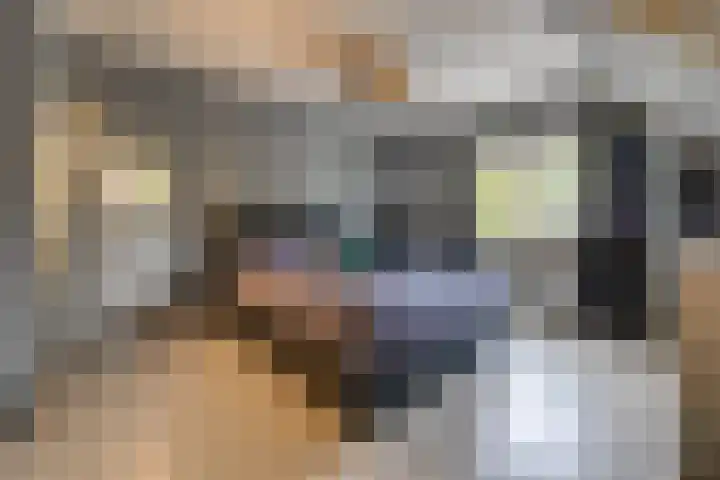 Noordzijde 287 Gasselternijveenschemond thumbnail 36