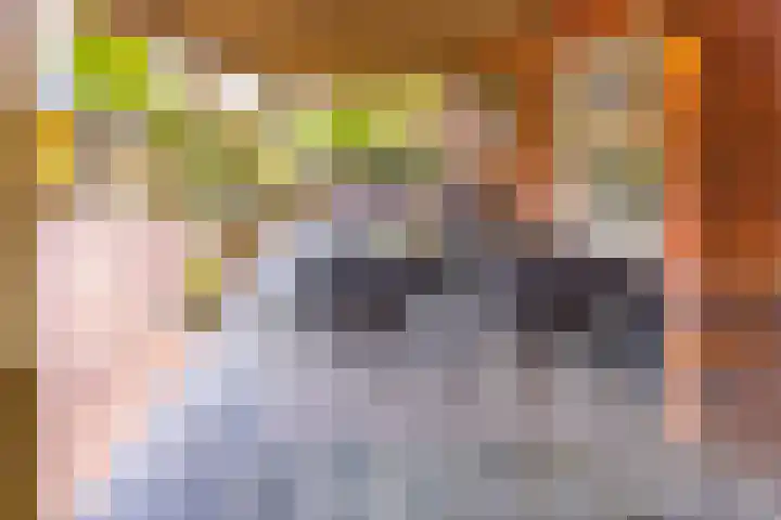Noordzijde 287 Gasselternijveenschemond thumbnail 45