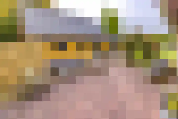 Noordzijde 287 Gasselternijveenschemond thumbnail 47
