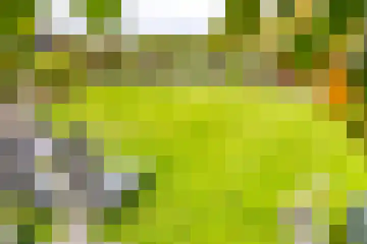 Noordzijde 287 Gasselternijveenschemond thumbnail 5