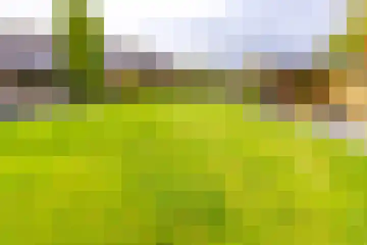 Noordzijde 287 Gasselternijveenschemond thumbnail 50