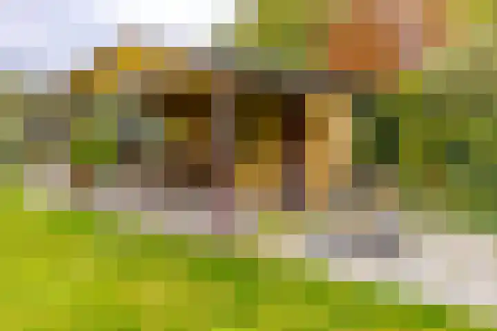 Noordzijde 287 Gasselternijveenschemond thumbnail 51