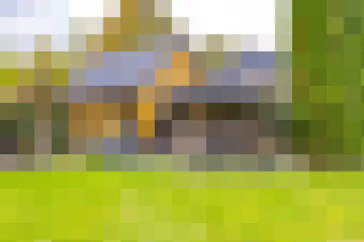 Noordzijde 287 Gasselternijveenschemond thumbnail 52