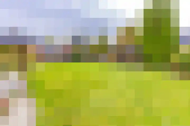 Noordzijde 287 Gasselternijveenschemond thumbnail 53