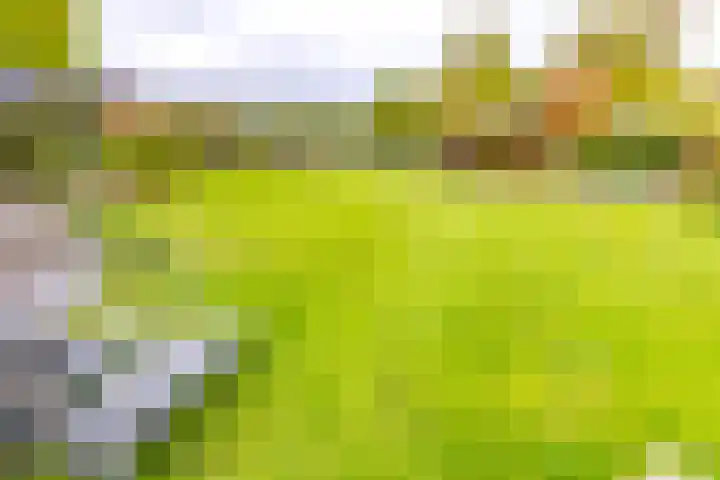 Noordzijde 287 Gasselternijveenschemond thumbnail 54
