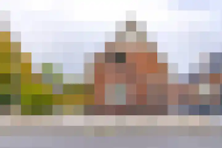 Noordzijde 287 Gasselternijveenschemond thumbnail 6