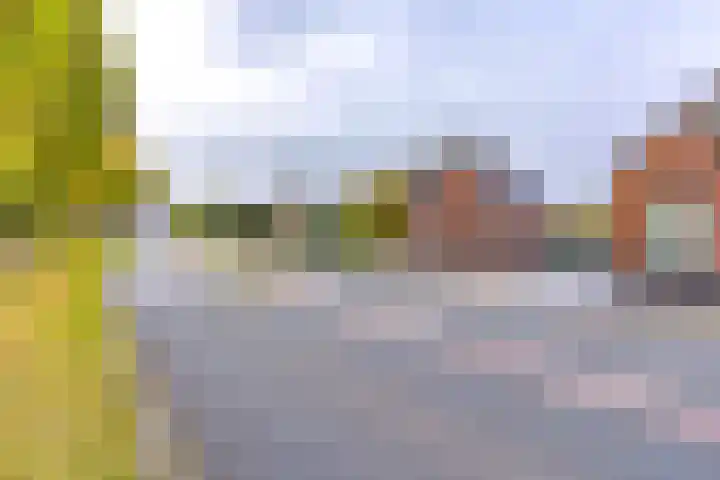 Noordzijde 287 Gasselternijveenschemond thumbnail 8