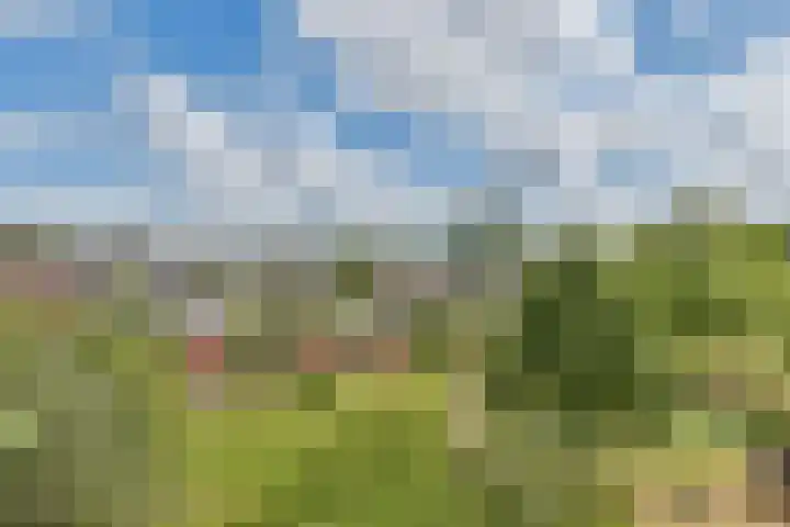Noordzijde 293 Amsterdam thumbnail 13