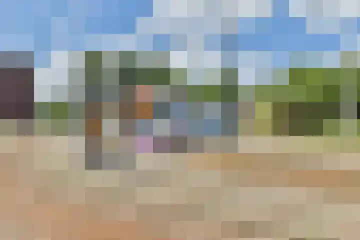 Noordzijde 293 Amsterdam thumbnail 16