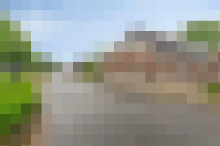 Noordzijde 307 Gasselternijveenschemond thumbnail 14