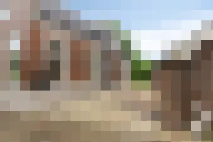 Noordzijde 307 Gasselternijveenschemond thumbnail 19