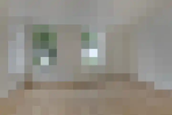 Noordzijde 307 Gasselternijveenschemond thumbnail 21