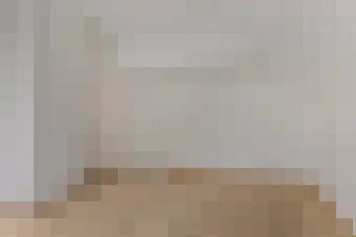Noordzijde 307 Gasselternijveenschemond thumbnail 42