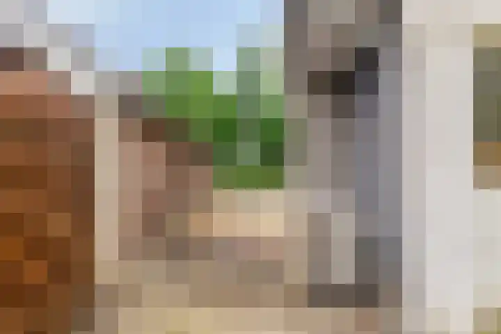 Noordzijde 307 Gasselternijveenschemond thumbnail 43