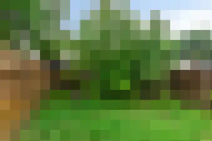 Noordzijde 307 Gasselternijveenschemond thumbnail 45