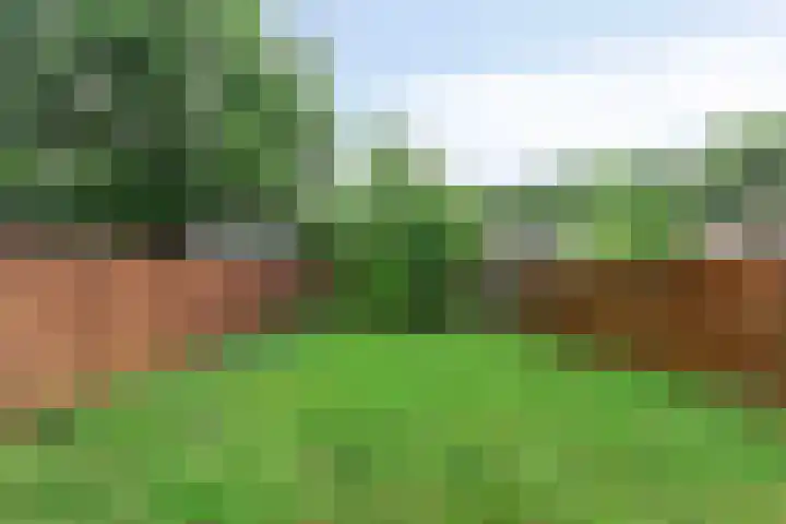 Noordzijde 307 Gasselternijveenschemond thumbnail 46