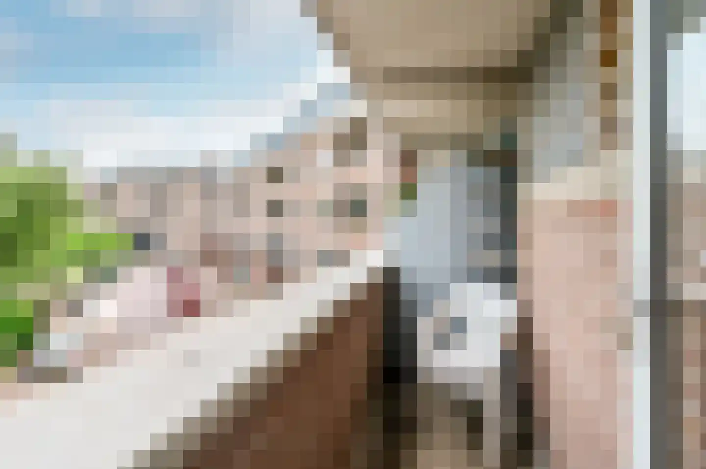 Noordzijde 323 Amsterdam thumbnail 12
