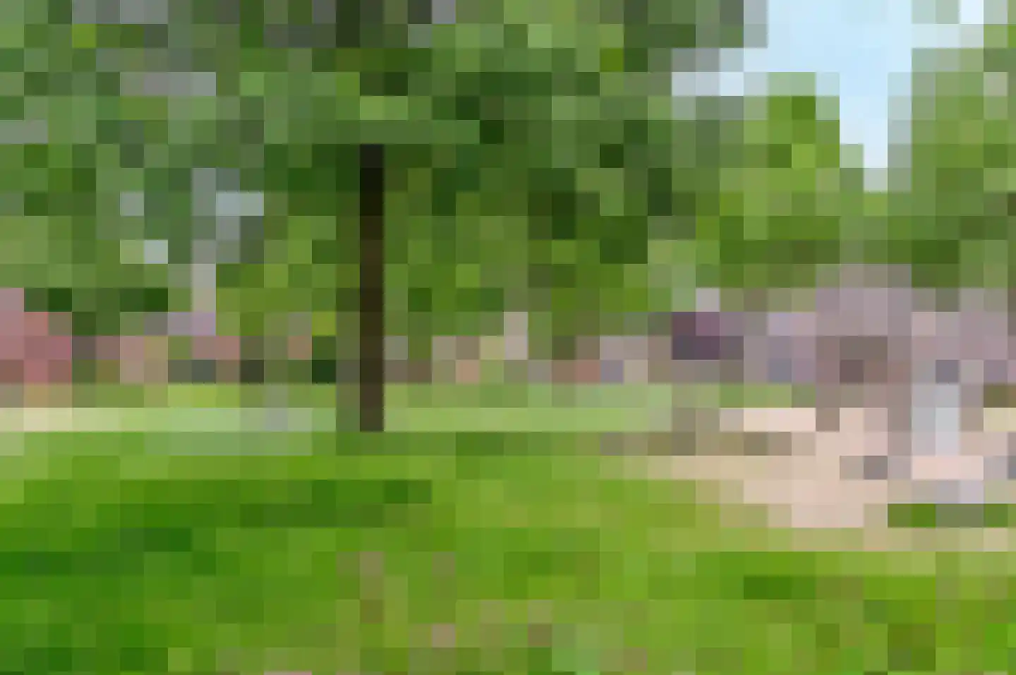 Noordzijde 323 Amsterdam thumbnail 24