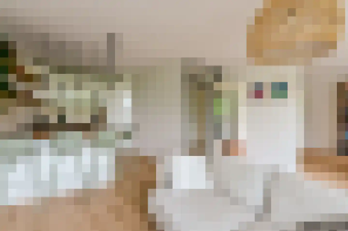 Noordzijde 323 Amsterdam thumbnail 7