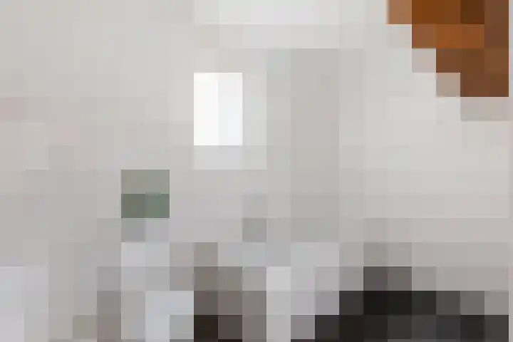 Noordzijde 34 Amsterdam thumbnail 22