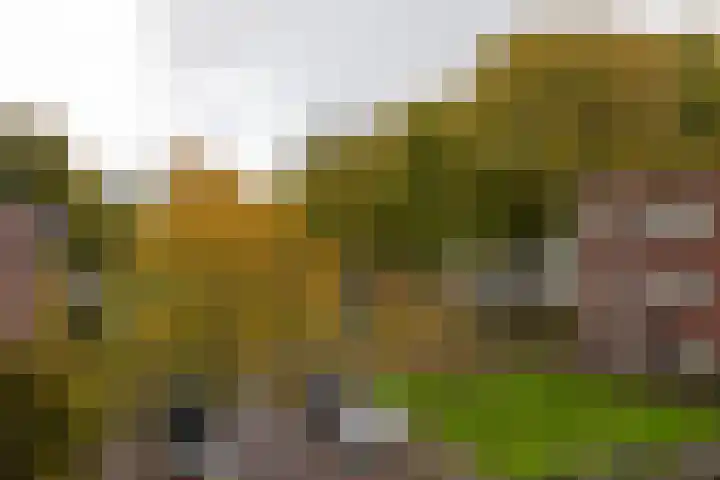 Noordzijde 34 Amsterdam thumbnail 29