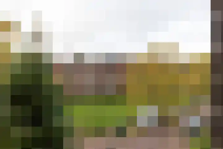 Noordzijde 34 Amsterdam thumbnail 31