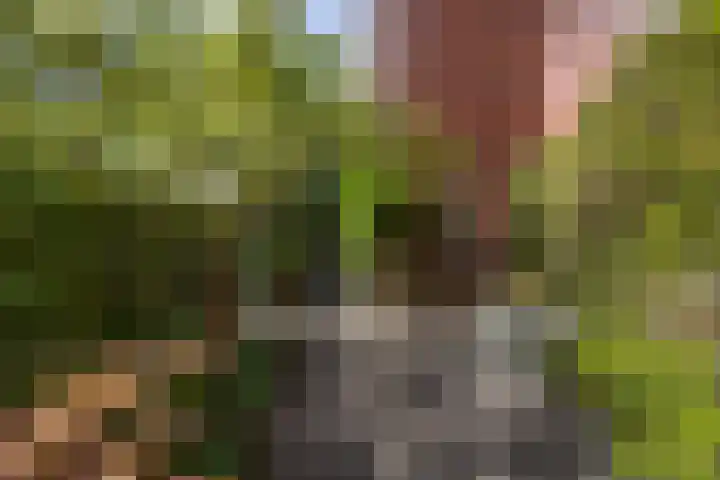 Noordzijde 34 Amsterdam thumbnail 34