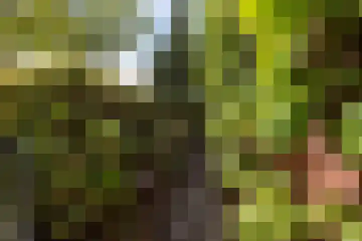 Noordzijde 34 Amsterdam thumbnail 35