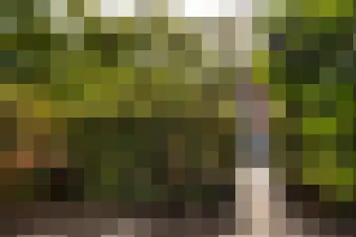 Noordzijde 34 Amsterdam thumbnail 36