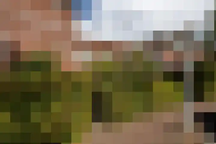 Noordzijde 34 Amsterdam thumbnail 37