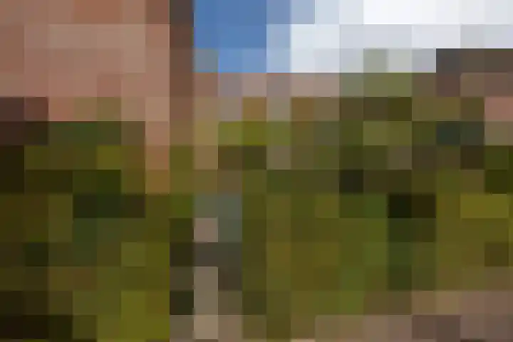 Noordzijde 34 Amsterdam thumbnail 38