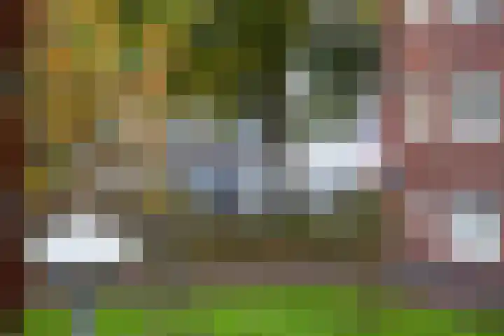 Noordzijde 34 Amsterdam thumbnail 40