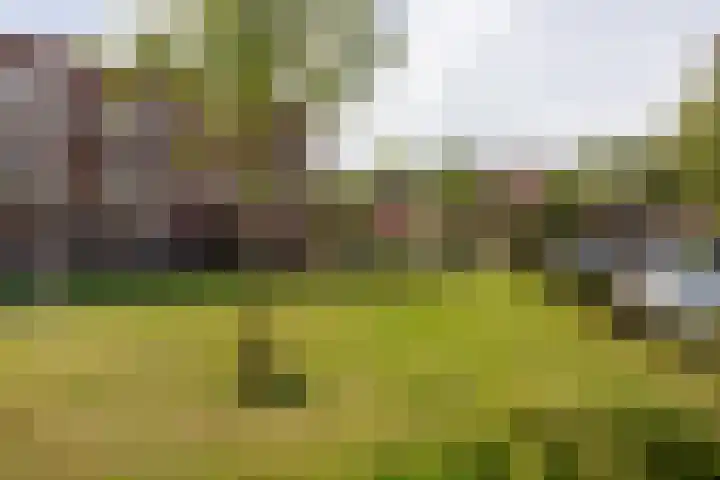 Noordzijde 34 Amsterdam thumbnail 41