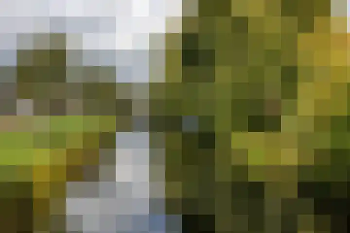 Noordzijde 34 Amsterdam thumbnail 42