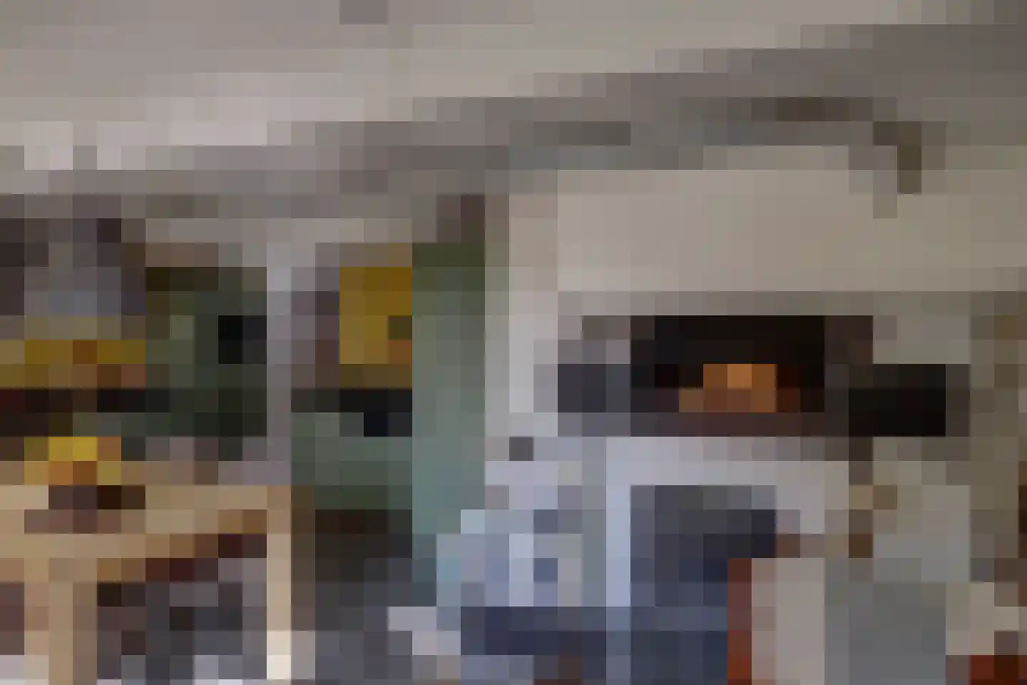 Noordzijde 36 Noordeloos thumbnail 19