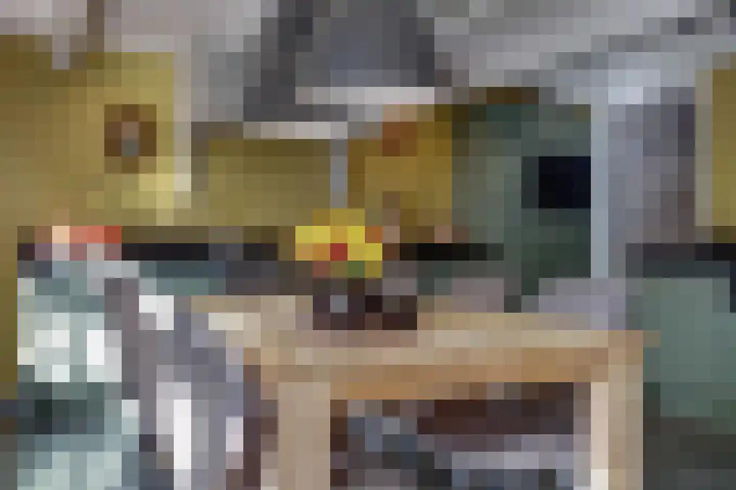 Noordzijde 36 Noordeloos thumbnail 22