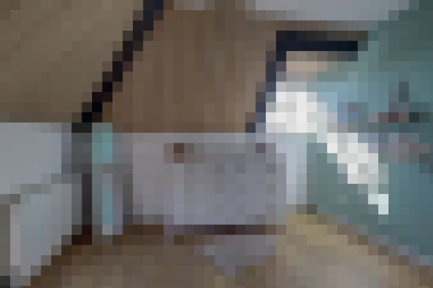 Noordzijde 36 Noordeloos thumbnail 36