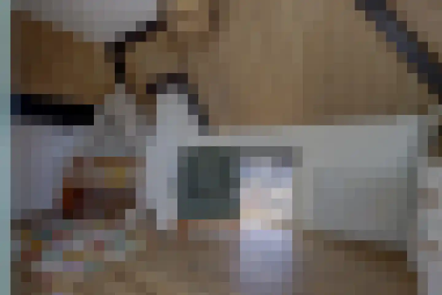 Noordzijde 36 Noordeloos thumbnail 37