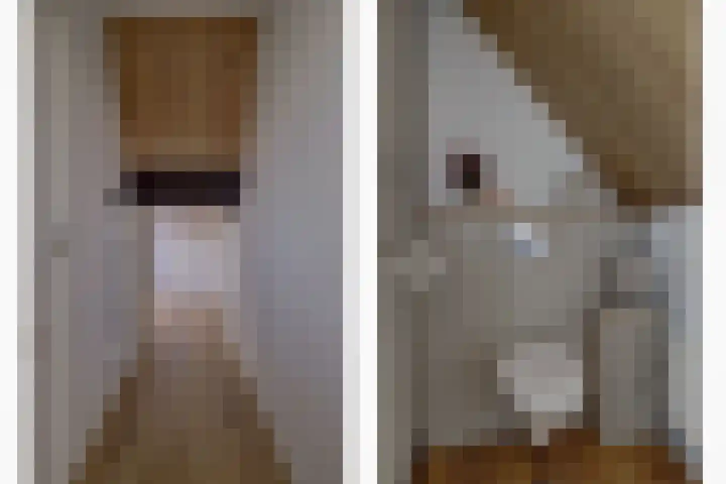 Noordzijde 36 Noordeloos thumbnail 38