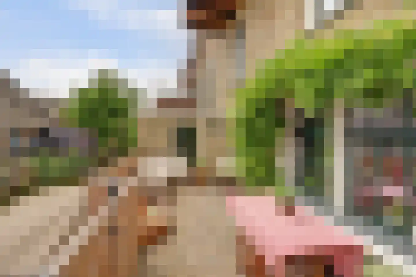 Noordzijde 36 Noordeloos thumbnail 47