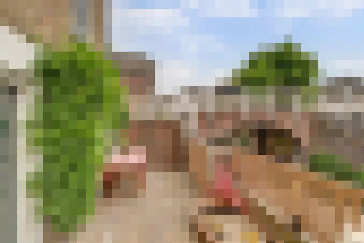 Noordzijde 36 Noordeloos thumbnail 49
