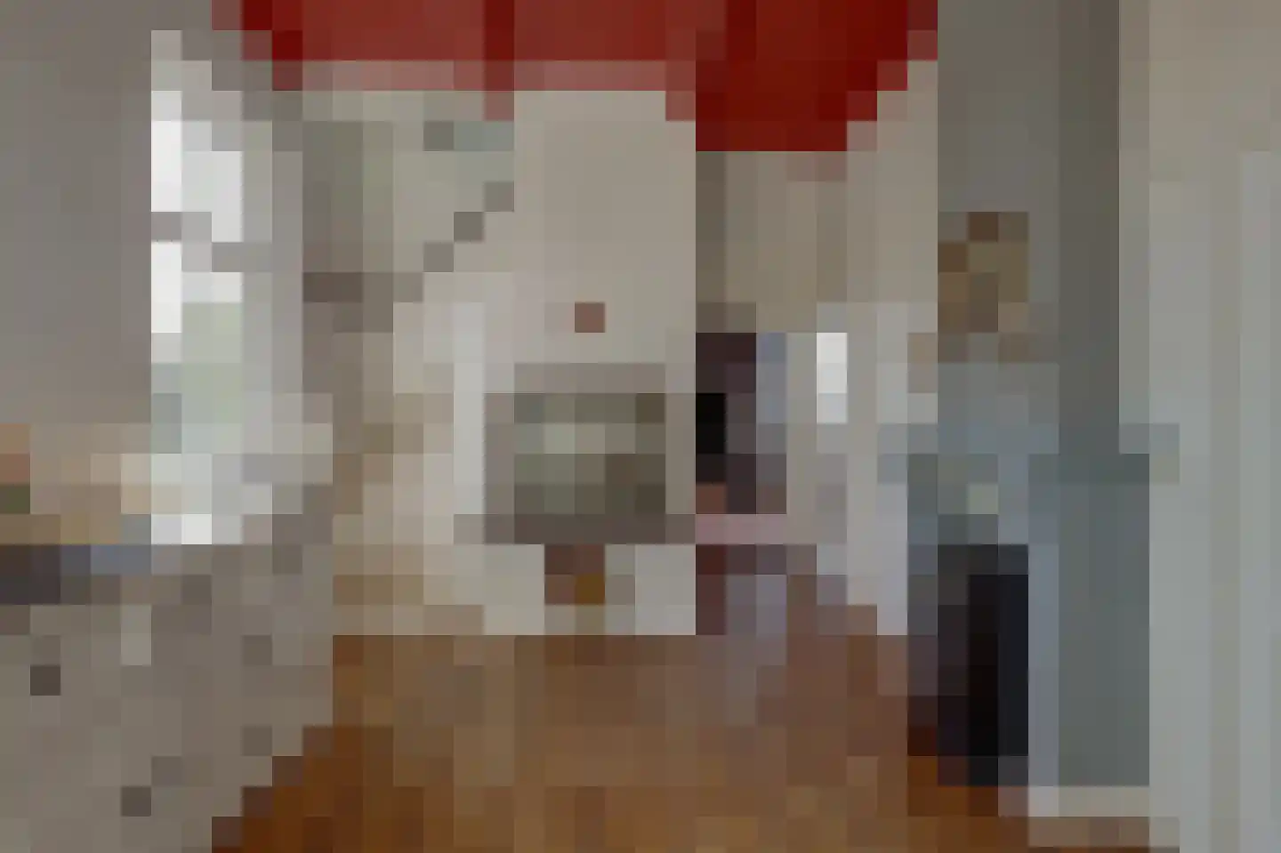 Noordzijde 36 Noordeloos thumbnail 8