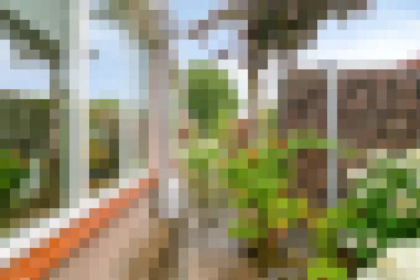 Noordzijde 39 Bodegraven thumbnail 27