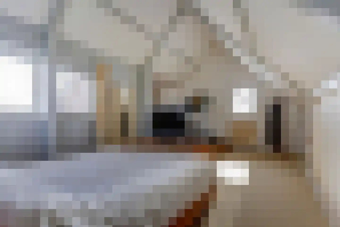 Noordzijde 39 Bodegraven thumbnail 36
