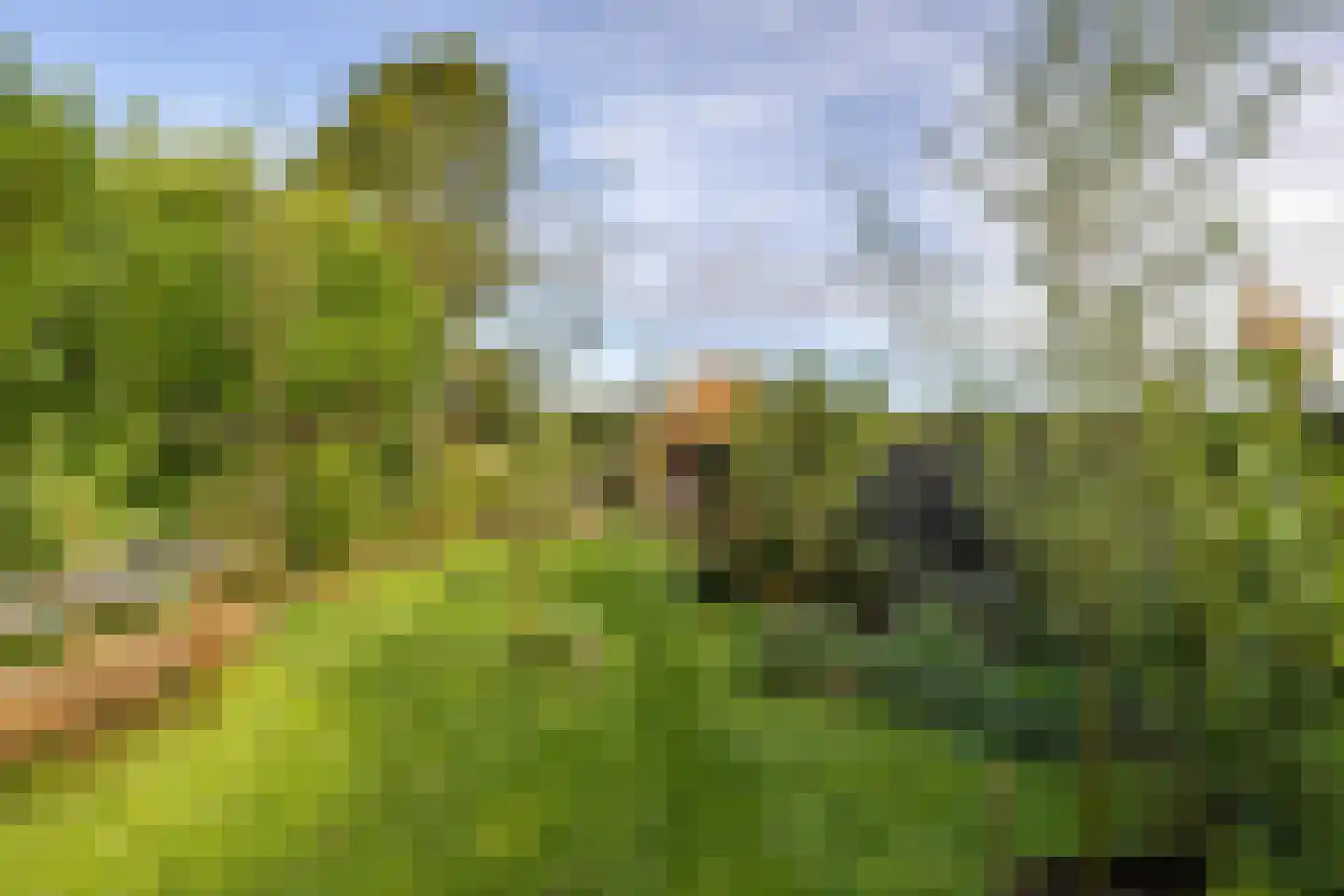 Noordzijde 49 Gasselternijveenschemond thumbnail 30