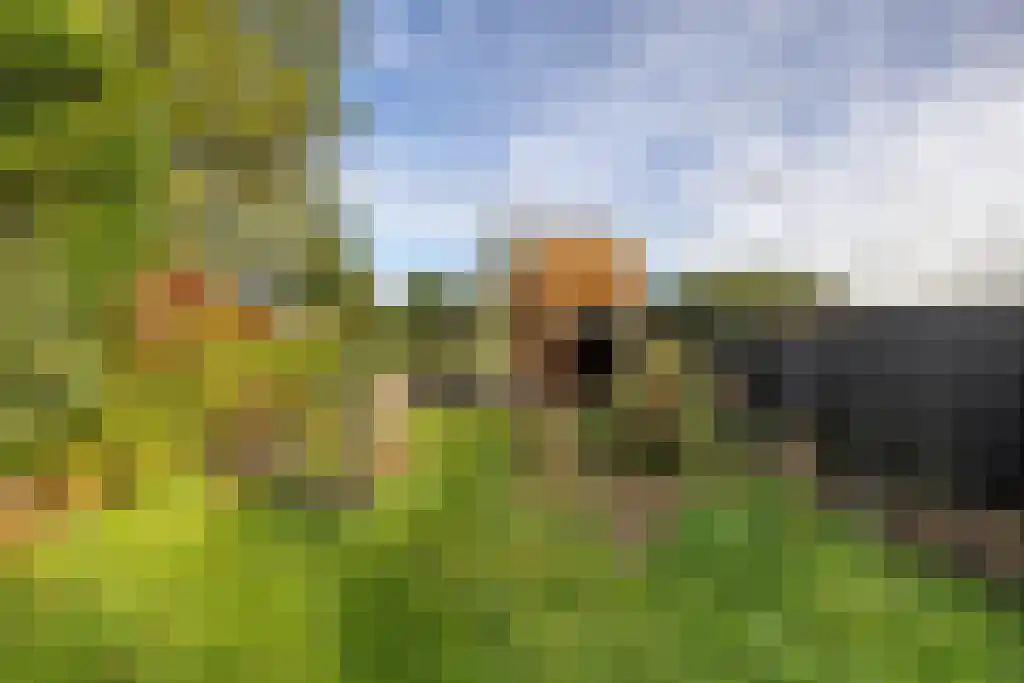 Noordzijde 49 Gasselternijveenschemond thumbnail 31