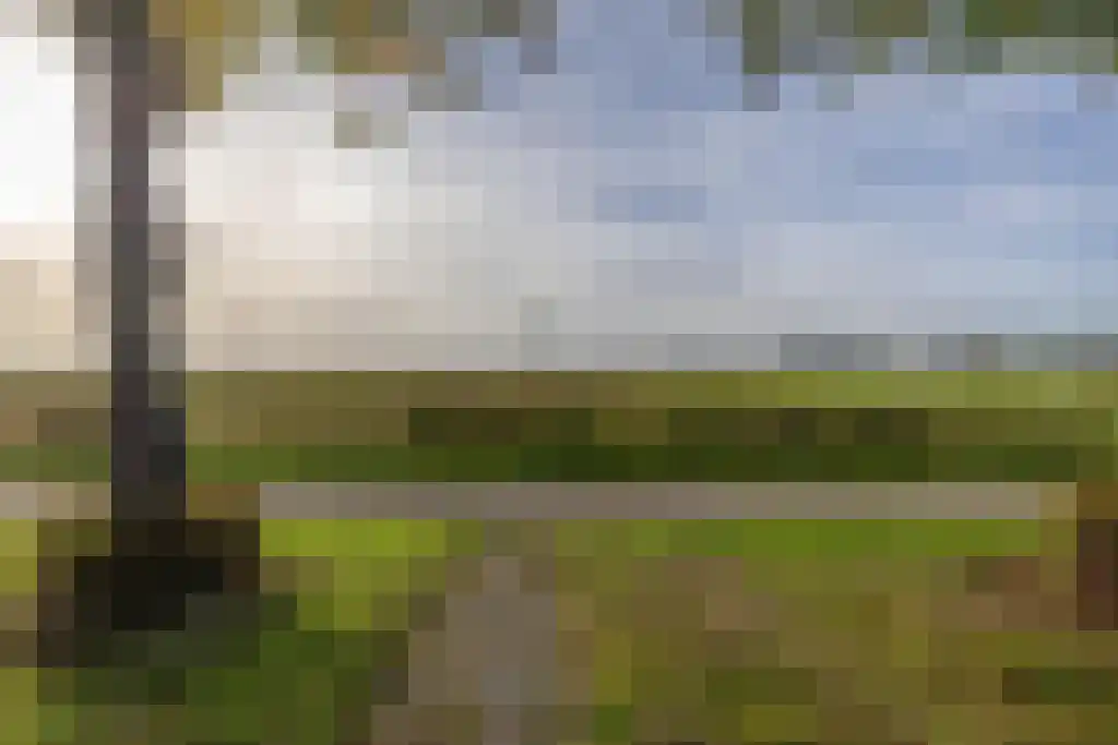 Noordzijde 49 Gasselternijveenschemond thumbnail 31